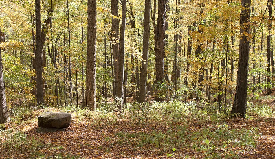 Mountain Bluff Trail​