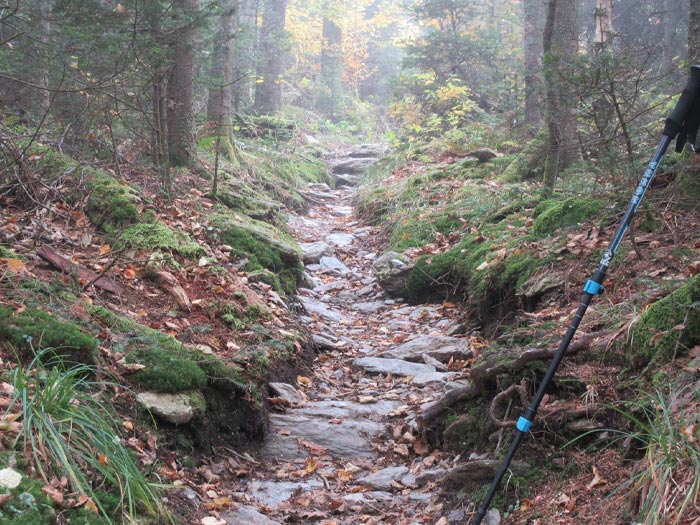 Soil Erosion and Compaction