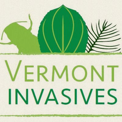 Vermont Invasives